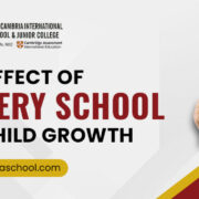 The Effect of Pre Nursery School in Your Child Growth