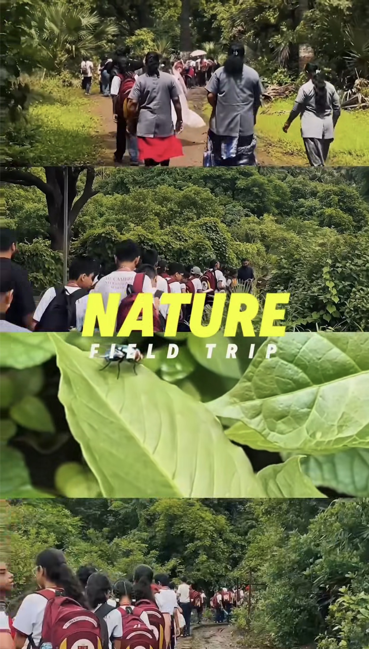 Nature Field Trip Kalyan (west)